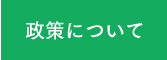 政策について